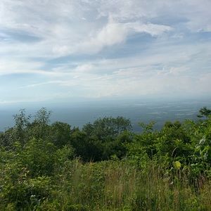 Meet your Posher, Rick